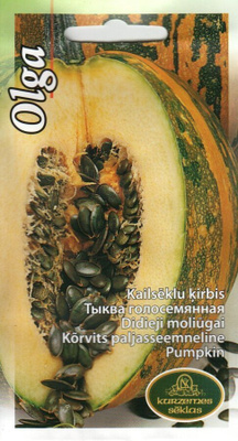 Jättikurpitsa "Olga" - siemenet #