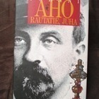 Juhani Aho : Rautatie, Juha