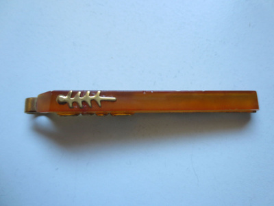 Solmiopidike meripihkaa