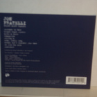 Jon Fratelli CD Bright Night Flowers - pikkukuva 2