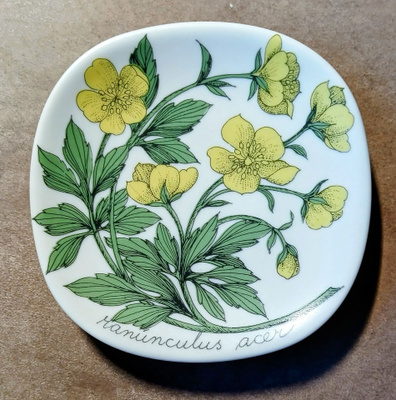 Arabia, Botanica, Esteri Tomula, Niittyleinikki