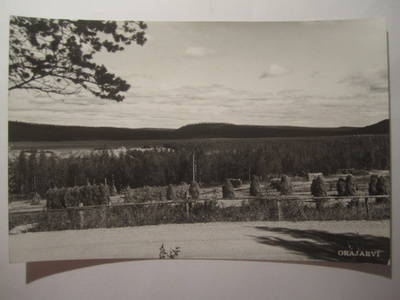 Postikortti Lappi Pello Orajärvi 1950-l Alkup.Mallikappale