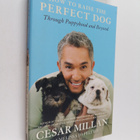 Melissa Jo Peltier ym. : How to Raise the Perfect Dog - T... - pikkukuva 1