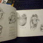 Olli Joki: Piirroksia - Teckningar drawings (Sis.postikulut) - pikkukuva 5