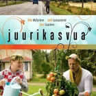juurikasvua (13 119) k -FI- DVD - pikkukuva 2