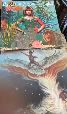 Norman Connors Aquarian Dream ja Fantasy LP