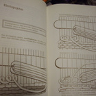 Kankkunen ym.: Kehyskudonta (1.p.1988) Sis.postikulut - pikkukuva 4