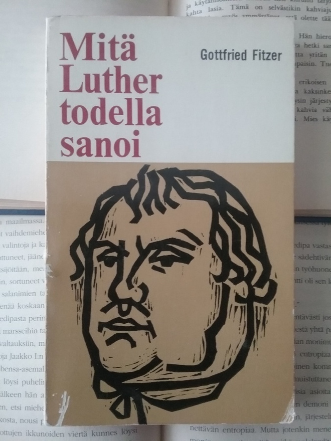 Gottfried Fitzer - Mitä Luther todella sanoi (pokkari)