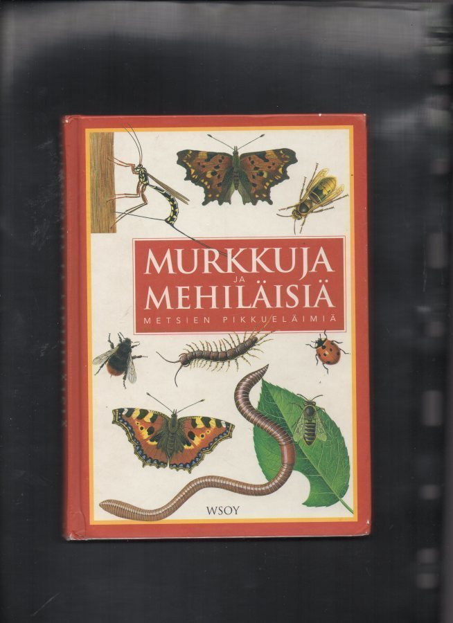 MURKKUJA JA MEHILÄISIä