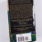 Maeve Binchy : The glass lake - pikkukuva 2