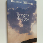 Benedict Zilliacus : Bergets skugga - pikkukuva 1