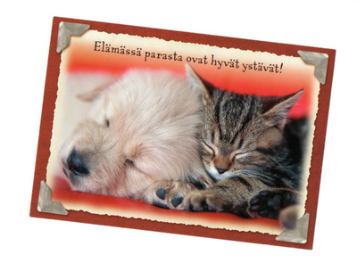 °°KISSA & KOIRA...Hyvät ystävät°° - KORTTI /Karto