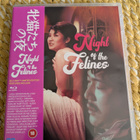 Night of the Felines - pikkukuva 1