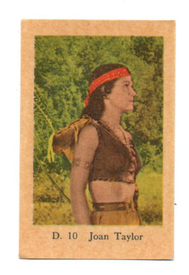 Purkkakuva D n:o 10 JOAN TAYLOR Purukumikuva