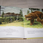 Nalle Nokikämmen - pikkukuva 2