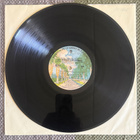 ERIC WEISSBERG & DELIVERANCE: Rural Free Delivery (LP) 1973 - pikkukuva 5