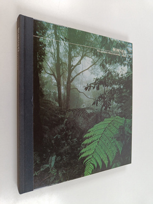 John MacKinnon : Borneo