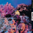 Various • Absolute Music 14 CD - pikkukuva 2