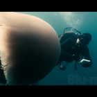 Oceans | 2-Disc Edition / Blu-ray + DVD - pikkukuva 4