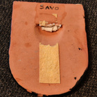 Savi vaakuna - pikkukuva 2