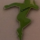 FORTUM PINSSI - pikkukuva 2
