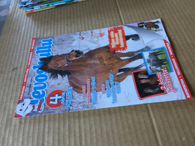 HEVOSHULLU 5/2018 HYVÄ