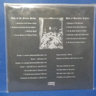 RAVENMOON SANCTUARY - BOREAL BLACKNESS SPIRITUALITY M/M LP - pikkukuva 2