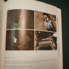 Matiskainen RIIHIMÄEN ESIHISTORIA ( 1 p. 2002 )  Sis.pk:t - pikkukuva 5
