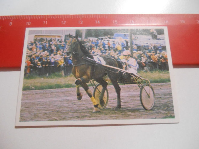 K 15 Jenkki Ravi ja ratsastus # 22
