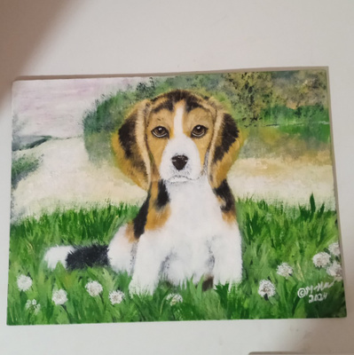 AKVARELLI , BEAGLE PENTU 30 x 40 cm