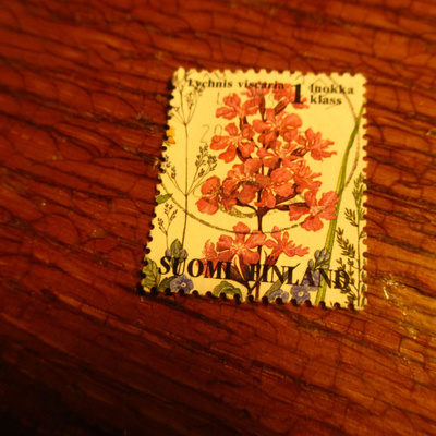 suomi pm 1lk mäkitervakko