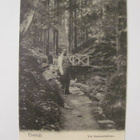 VANHA Postikortti Tammisaari HUIPPUKUNTO ennen-1905 - pikkukuva 1