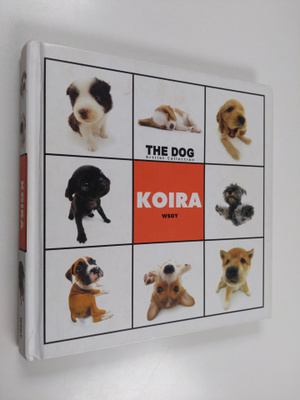 Koira