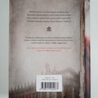 Jyrki Erra : Kaunasin sivut : kertomus - pikkukuva 2