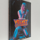 Todd Haynes : Velvet Goldmine - pikkukuva 1