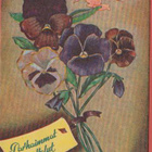 K Edelmann Orvokki kortti - pikkukuva 1