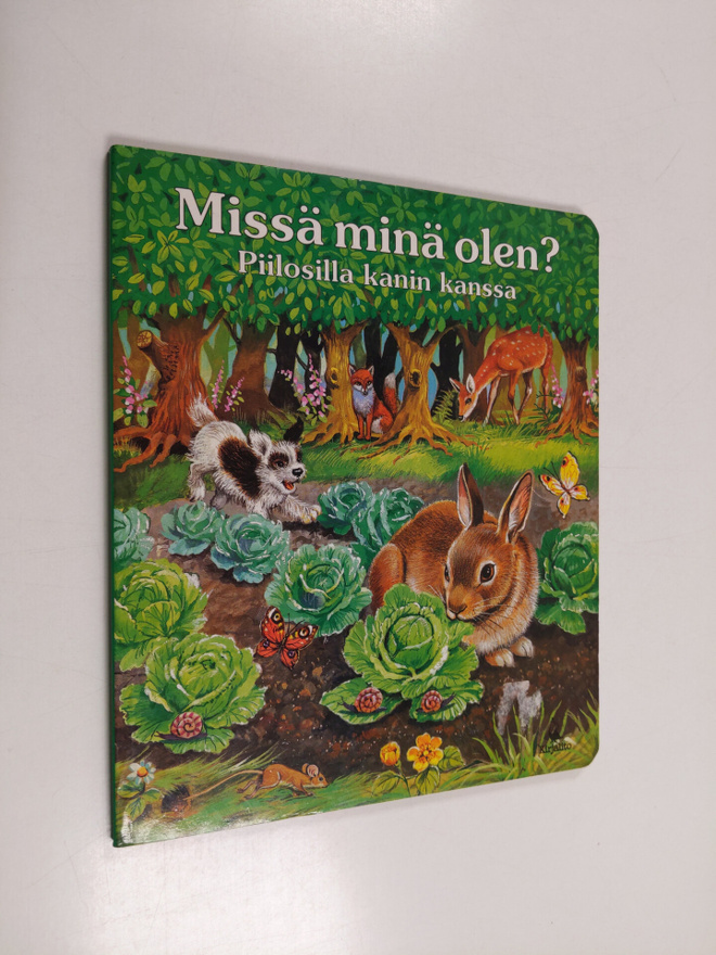 Missä minä olen? : piilosilla kanin kanssa