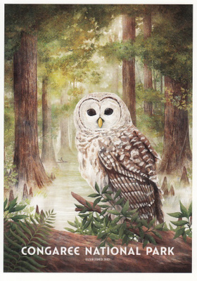 Congaree National Park