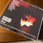 Ulf Stureson / Allt jag ville säja CD - pikkukuva 2