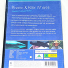 Sharks and killer whales - adaptable predators of the sea - pikkukuva 2