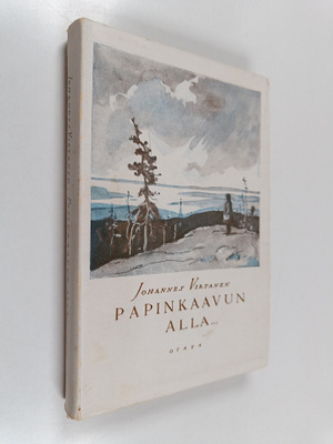 Johannes Virtanen : Papinkaavun alla