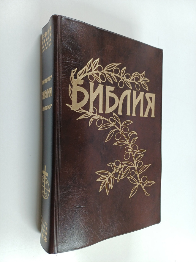 Bibliya : Knigi Svyashchennago Pisaniya Vethago i Novago ...