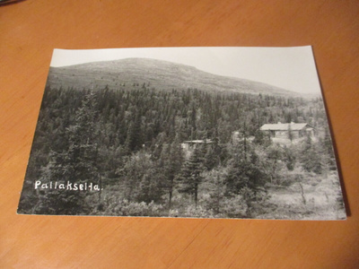 Kittilä Pallas *