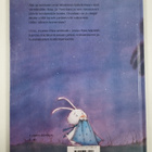 Brigitte Weninger : Apua, Pasi - kummitus! - pikkukuva 2