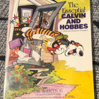 THE ESSENTIAL CALVIN AND HOBBES / A CALVIN AND HOBBES TREASU - pikkukuva 1