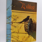Kotiliesi 9/1949 - pikkukuva 1
