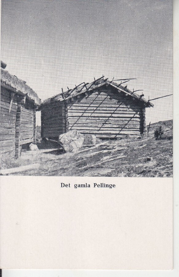 Gamla pellinge kortti käyttämättömänä (4)