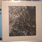 Masato Minami- The Tropics Vinyyli - pikkukuva 2