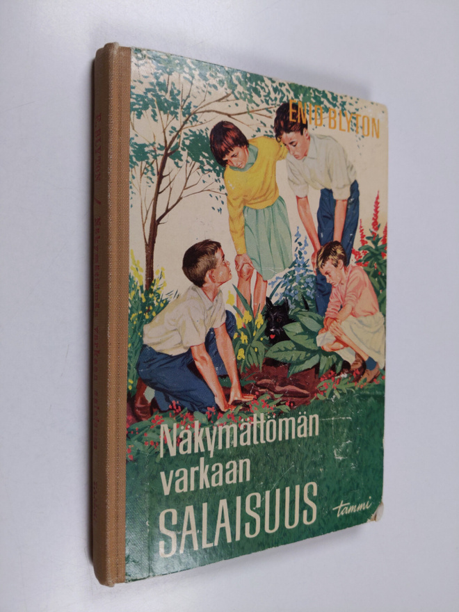 Enid Blyton : Näkymättömän varkaan salaisuus