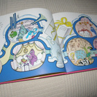 Tison - Taylor Barbapapan joululahja - pikkukuva 2